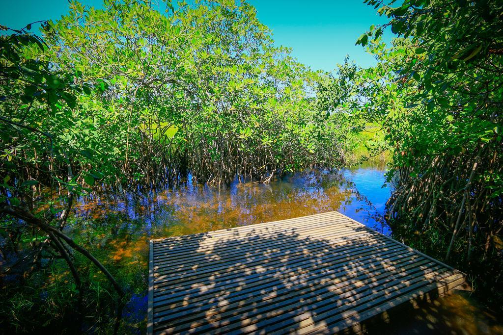 Pousada Ecologica Bangalo De Praia Itacimirim Oda fotoğraf
