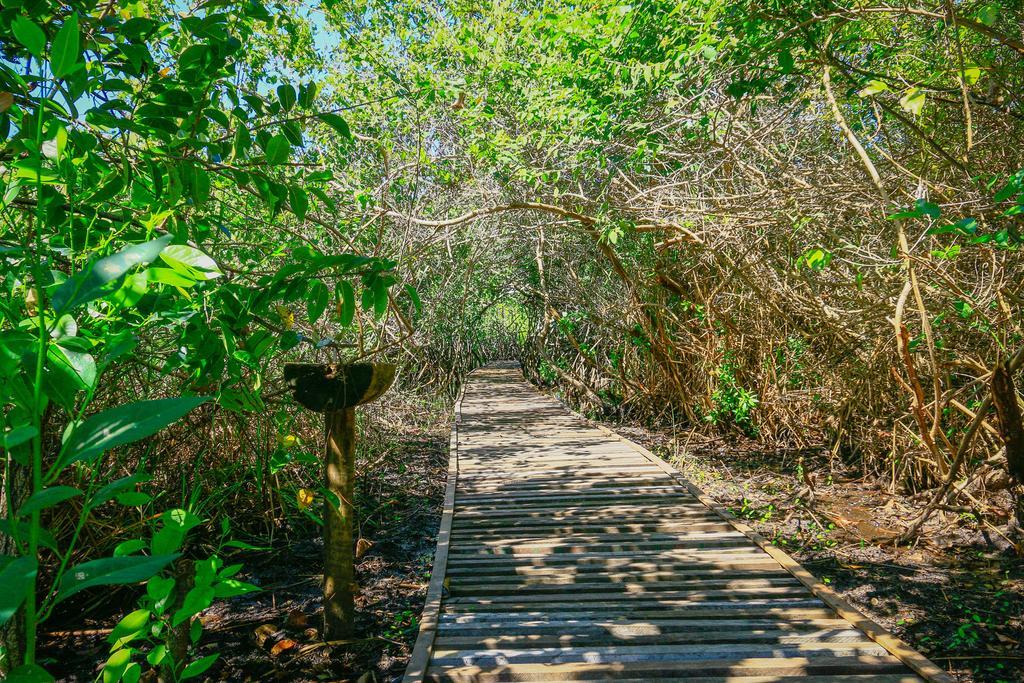 Pousada Ecologica Bangalo De Praia Itacimirim Oda fotoğraf
